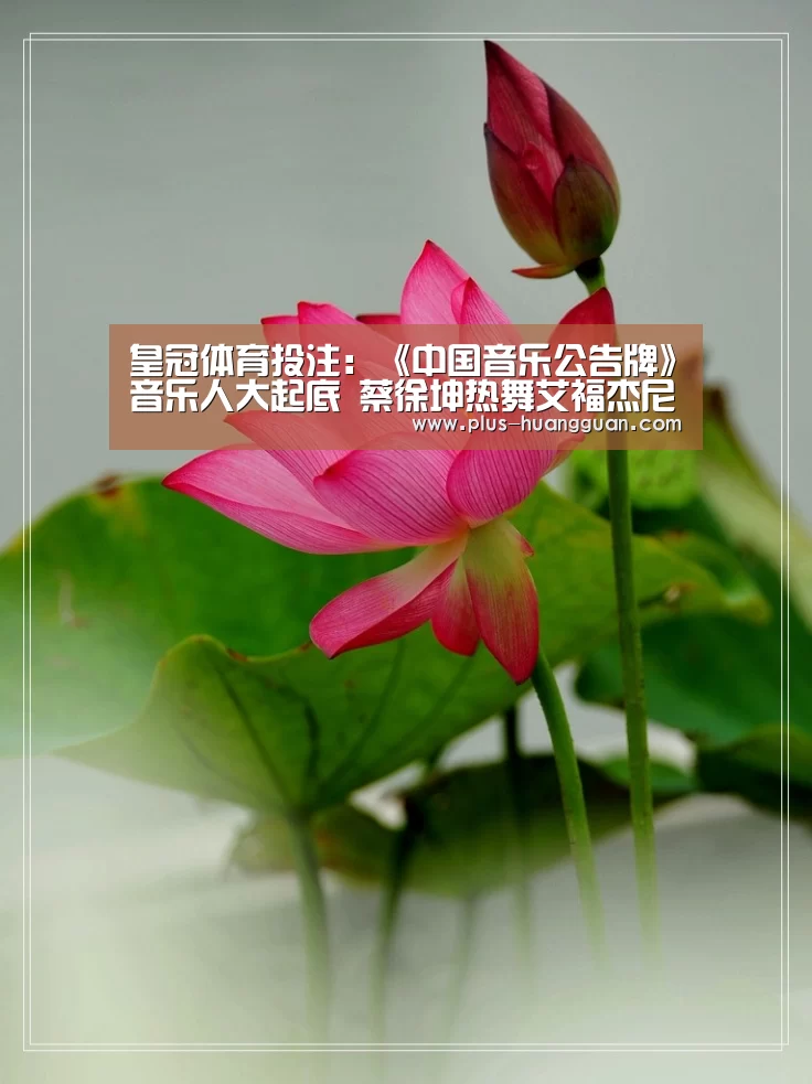 皇冠体育投注:《中国音乐公告牌》音乐人大起底 蔡徐坤热舞艾福杰尼卖萌