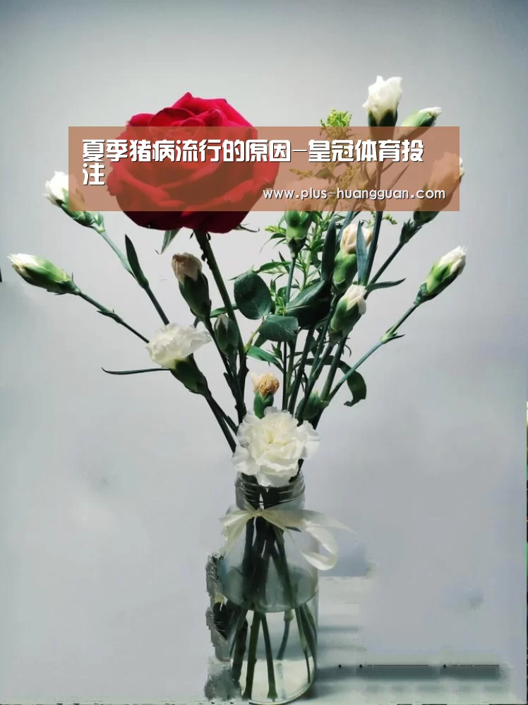 夏季猪病流行的原因-皇冠体育投注(图2) 皇冠体育下载